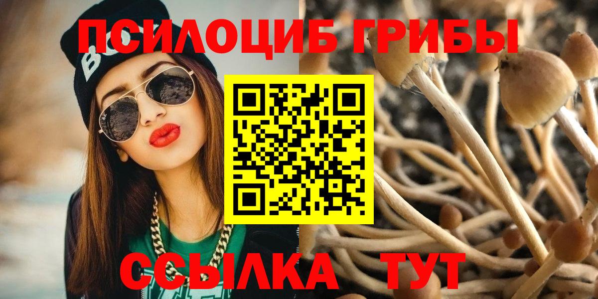 Галлюциногенные грибы мицелий Брянск