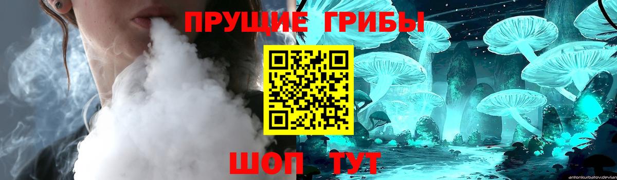 Галлюциногенные грибы GOLDEN TEACHER  Галлюциногенные грибы мухоморы  Вход с VPN  где найти наркотики  Брянск 